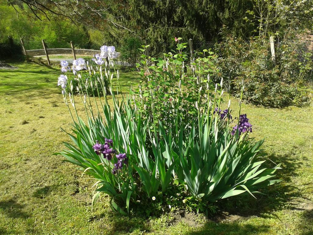 Gite Des Croix Bancaud Jumilhac-le-Grand Bagian luar foto